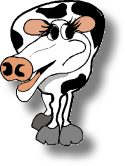 Old_Cow.jpg (7017 bytes)